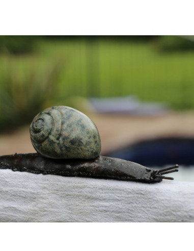 Escargot Pierre et Métal-Animaux du monde