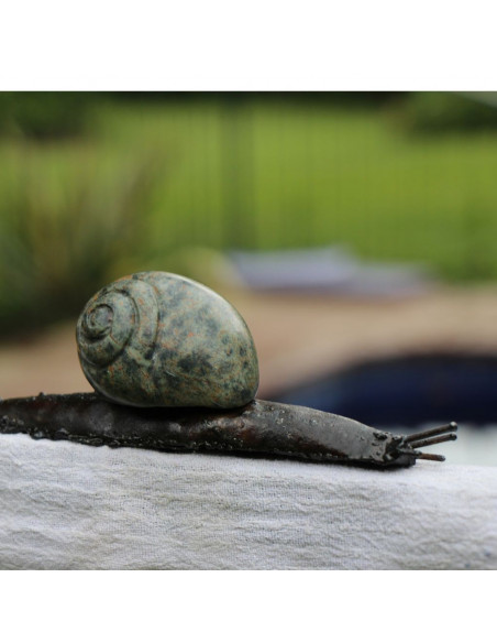 Escargot Pierre et Métal-Animaux du monde