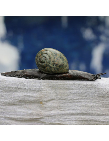 Escargot Pierre et Métal-Animaux du monde