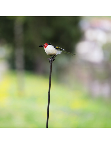 Tuteur Chardonneret Élégant-Tuteurs oiseaux
