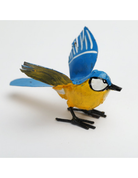 Mésange bleue ailes ouvertes-Petits oiseaux