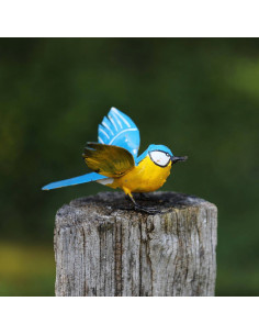 Mésange bleue ailes ouvertes-Petits oiseaux
