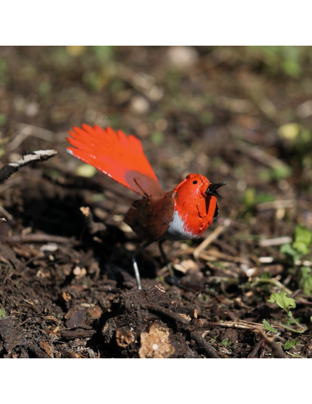 Rouge queue en métal peint - Décoration-Petits oiseaux