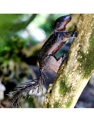 Écureuil brut à accrocher-Animaux sur pattes