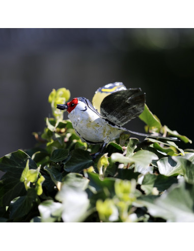 Chardonneret élégant ailes ouvertes - déco jardin-Petits oiseaux
