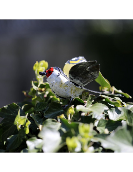 Chardonneret élégant ailes ouvertes - déco jardin-Petits oiseaux