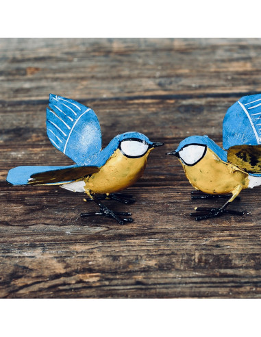 Mésange bleue ailes ouvertes-Petits oiseaux