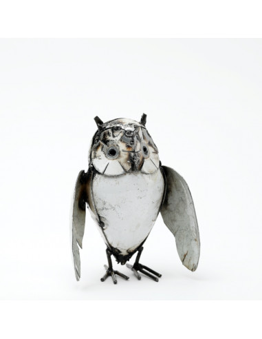 Hibou blanc-Chouettes et hiboux