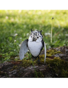 Hibou blanc-Chouettes et hiboux 2