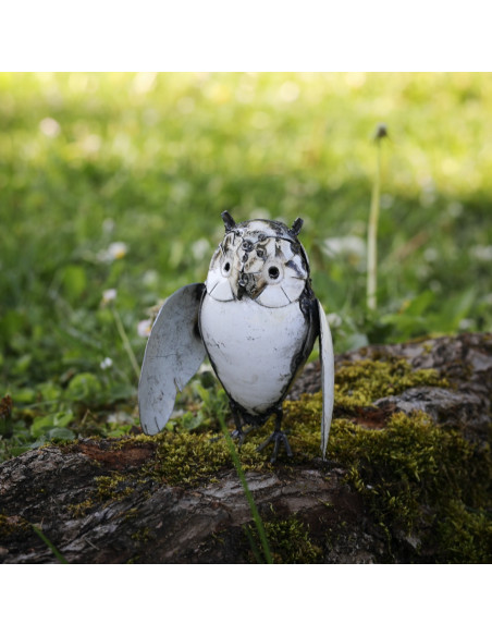 Hibou blanc-Chouettes et hiboux