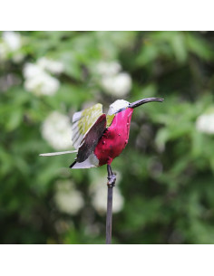 Tuteur Guêpier d'Afrique-Tuteurs oiseaux