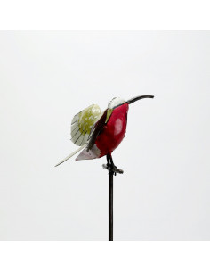 Tuteur Guêpier d'Afrique-Tuteurs oiseaux 2