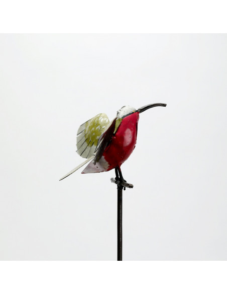 Tuteur Guêpier d'Afrique-Tuteurs oiseaux