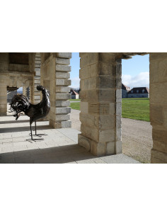 le Bon Coq pièce unique en métal recyclé-Pièces uniques 2