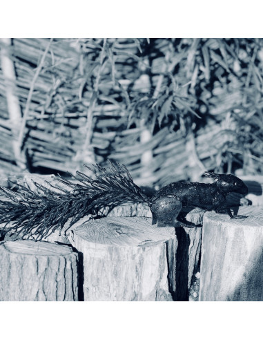 Écureuil brut à accrocher-Animaux sur pattes