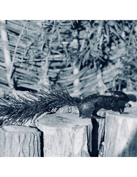 Écureuil brut à accrocher-Animaux sur pattes