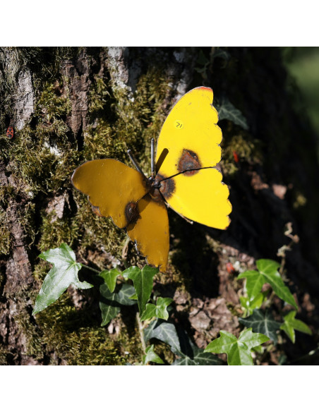 Papillon en métal recyclé - jaune-Insectes