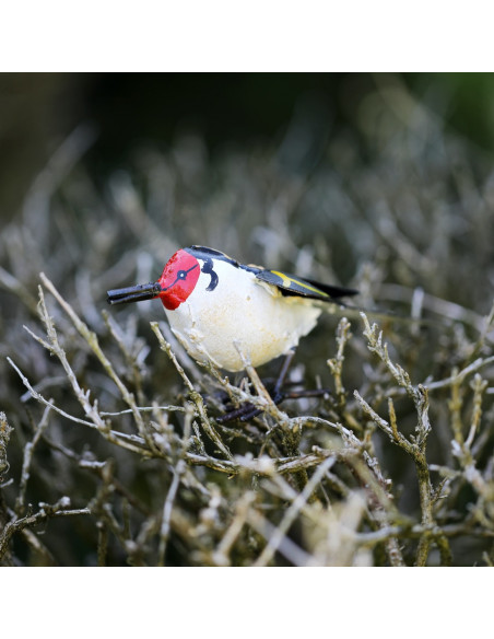 Chardonneret élégant en métal peint-Petits oiseaux
