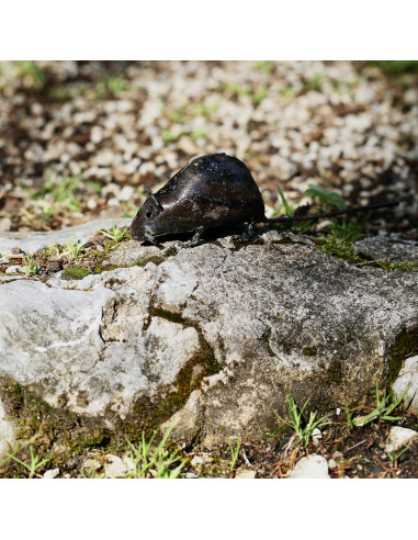 Souris en métal recyclé-Animaux sur pattes