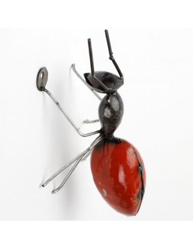 Fourmi murale rouge, grand modèle-Insectes