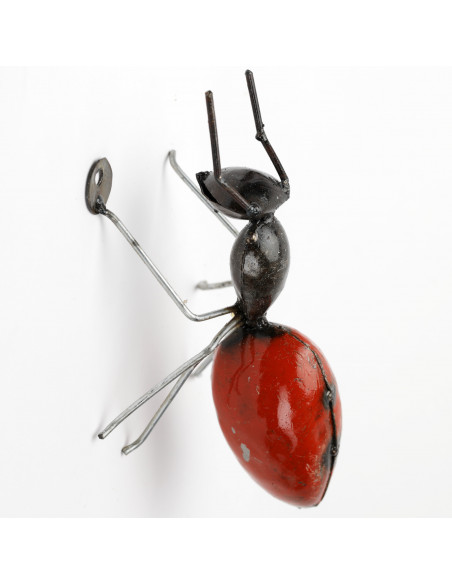 Fourmi murale rouge, grand modèle-Insectes