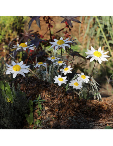 Tuteur fleur de Marguerite grand modèle - métal recyclé deco jardin